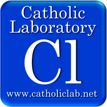 Highlighting New Evangelizers: The Catholic Laboratory